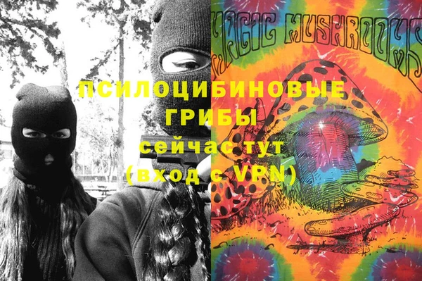 PSILOCYBIN Абдулино