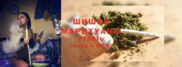 PSILOCYBIN Абдулино