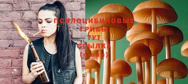 ешки Абинск
