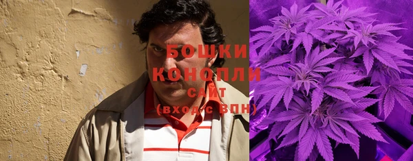 PSILOCYBIN Абдулино
