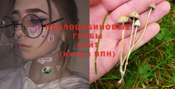 ешки Абаза