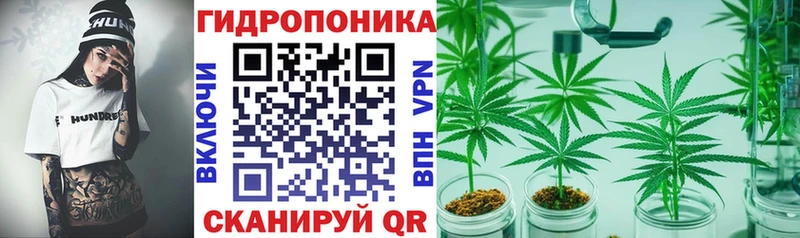 Бошки марихуана Ganja Тарко-Сале