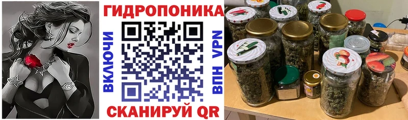 МАРИХУАНА сатива  Тарко-Сале 